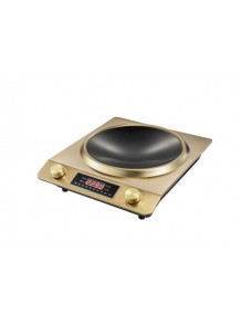 Wellmax infrared cooker WM-IF 05 GL