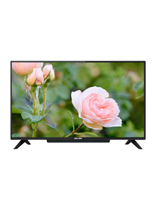 Wellmax WEM 43GVKV QUHD Android TV