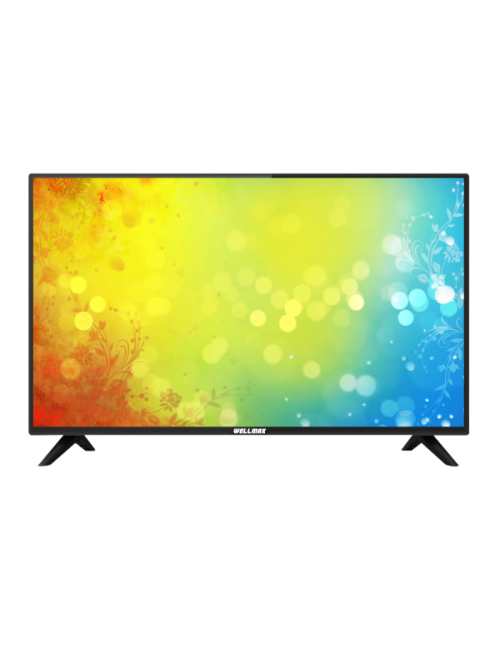 Wellmax BASIC TV  WV 24M01